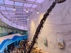 -陕西自然博物馆