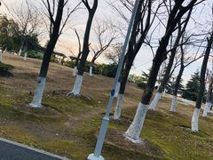 -白塘生态植物园