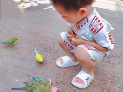 -杭州开元森泊度假乐园