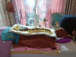 -伊童美家小儿推拿·中式养生(徐汇店)