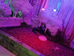 -水晶之星洗浴温泉汗蒸