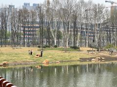 -后襄河公园