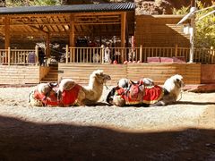 -天山神秘大峡谷