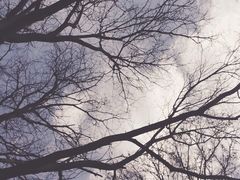 -神农美特好生鲜超市(三墙店)