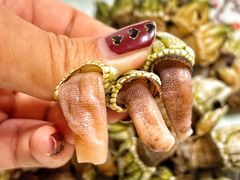 -华源餐厅·海鲜大排档(日月贝店)