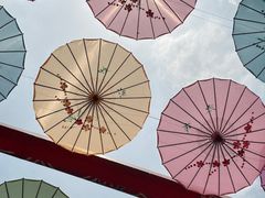 -都江堰玫瑰花溪谷