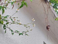 -广州市紫泥堂文化创意园景区