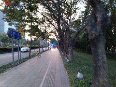 -JOYA湾悦国际酒店(世界之窗店)