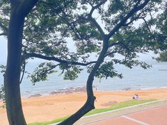 -青岛第二海水浴场