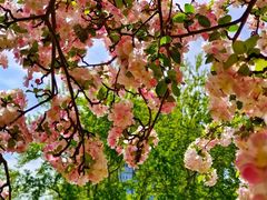 -元大都城垣遗址公园