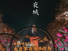 -大唐不夜城