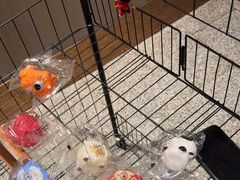 -忆江南·临江鱼馆