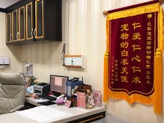 -宠爱国际动物医院· 猫科· 外科·中兽医(长白店)