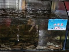 -马王堆海鲜水产市场
