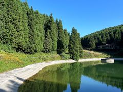 -武陵山森林公园