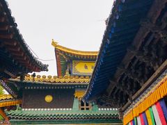 -塔尔寺