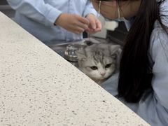 -总动员动物医院(宝丰院店)