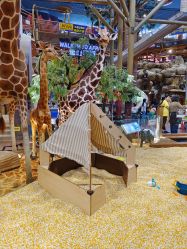 -卡通尼·Safari非洲探索乐园·生日会(金桥国际商业广场店)