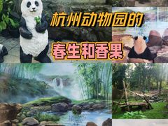 -杭州动物园