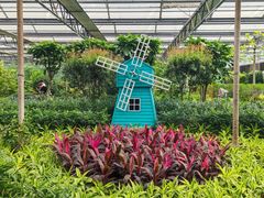 -南宫五洲植物乐园