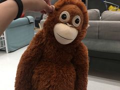 -宜家家居(哈尔滨商场店)