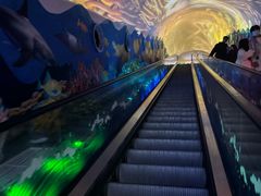 -成都浩海立方海洋公园