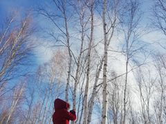 -北极村旅游风景区