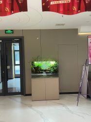 -安婷秀医疗美容