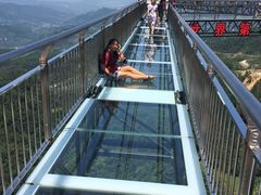 -梦幻奥陶纪景区