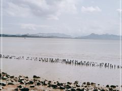 -深圳湾公园(南山区)