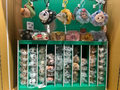 -猫的天空之城概念书店(苏州诚品店)