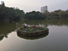 -人民公园(罗湖区)