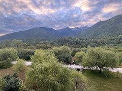 -林芝工布庄园希尔顿酒店-猎味中餐厅