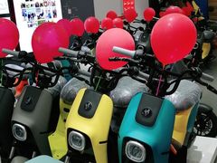 -九号电动车(安定门内大街店)