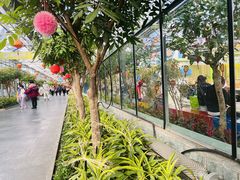 -南宫五洲植物乐园