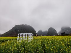 -靖西鹅泉风景区