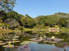 -云溪植物园