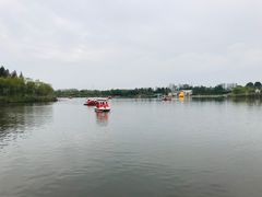 -杭州湾海上花田景区