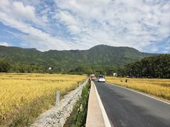 -塔川景区
