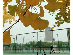 -南京航空航天大学(将军路校区)
