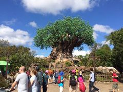 -奥兰多迪士尼动物王国乐园