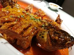 -阿五黄河大鲤鱼(纬三路店)