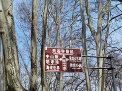 -灵谷景区