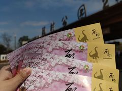 -自然谷恐龙园