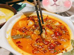 铜锅霸王爆牛杂-掌柜的店·河南菜(新天地店)