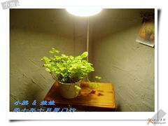 -Babycat私家御饼屋(龙头路一店)