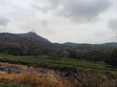 -灵顺寺