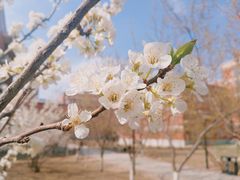 -东北师范大学(净月大街校区)