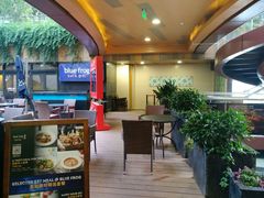 -bluefrog蓝蛙(水游城店)