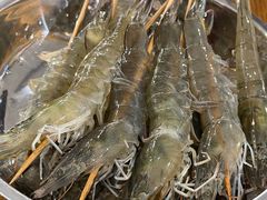 -盈田盈粥庄(博山东路店)